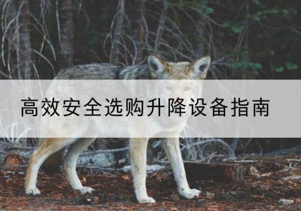 蜀山升降货梯厂家推荐-*安全选购升降设备指南