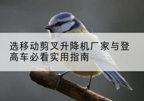 蜀山电动升降机厂家-选移动剪叉升降机厂家与登高车必看实用指南